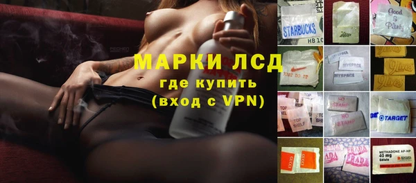 стафф Покачи