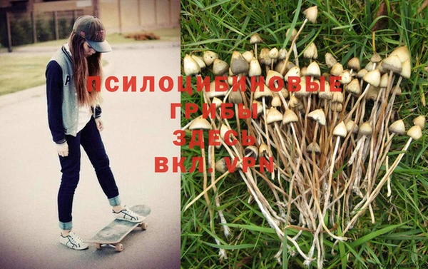 стафф Покачи