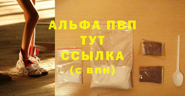 стафф Покачи